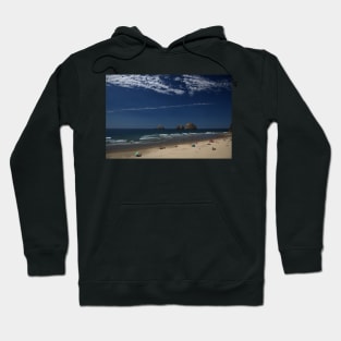 850_6356 Hoodie